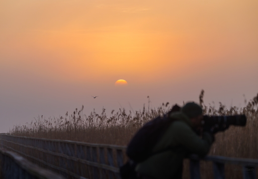 Sonnenaufgang am Federsee